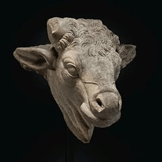 Episode 5 - An Interview with Roberto Rios (aka The Peruvian Bull), Economist and Entrepreneur