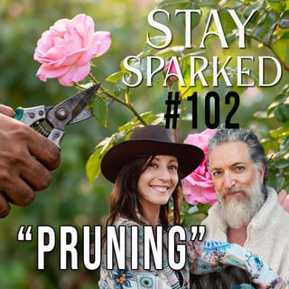 "Pruning" ✨#102