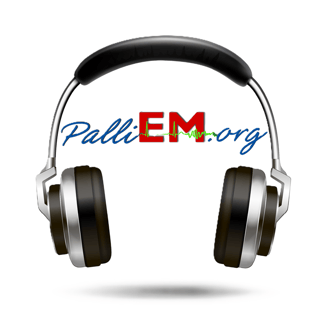 Episode 12 - The Growing Trend in Hospice and Palliative Medicine Fellowship Training Among Emergency Physicians - Caroline Meehan, MD, and Alex Zirulnik, MD, MPH.