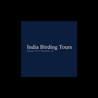 Birding in North India