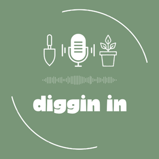 Diggin In