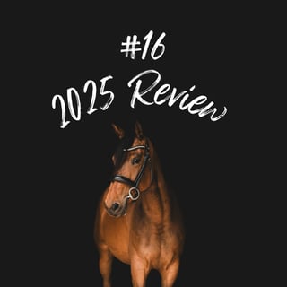 2025 Review