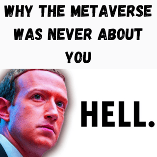 Why the Metaverse Was Never About You
