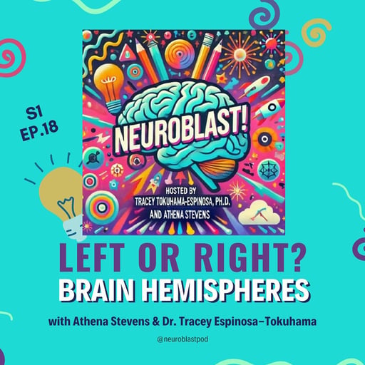 Left Brain, Right Brain: Are Your Skills Really Only in One Hemisphere?