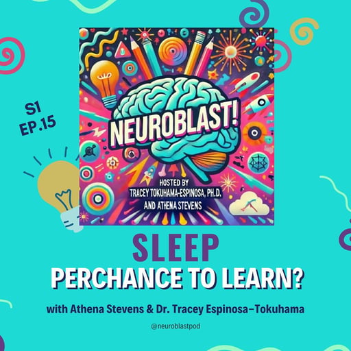 Sleep Perchance to Learn