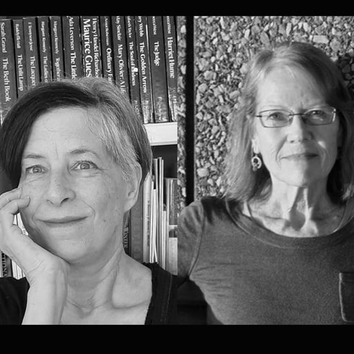 Writer as Recording Artist: Power and Empathy in Fiction
