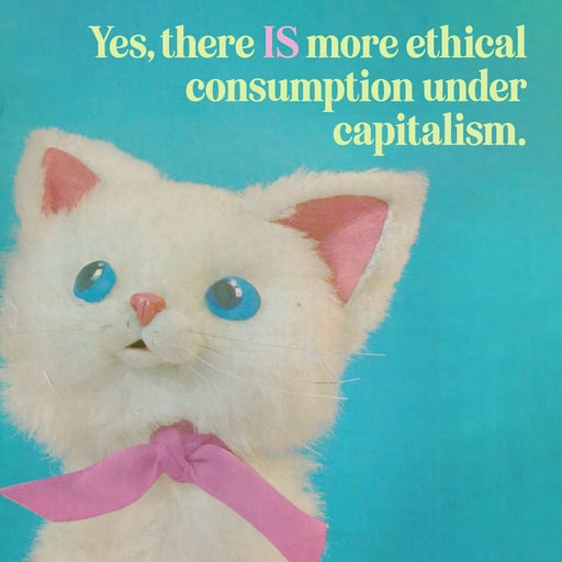 Episode 256: There IS (more) ethical consumption under capitalism (part one) with Lisa of Retro Housewife Goes Green