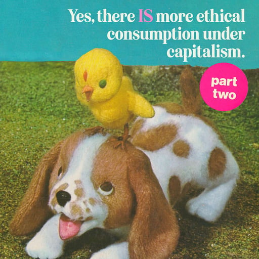 Episode 257: There IS (more) ethical consumption under capitalism (part two) with Lisa of Retro Housewife Goes Green