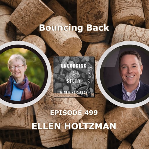 Bouncing Back, with Ellen Holtzman