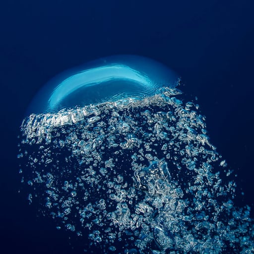 Cachalotes: Escuchando al Oceáno (Sperm Whales: Listening to the Ocean)
