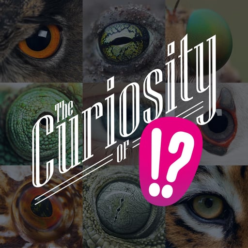 49: 👁️The Curiosity of Sight. How eyes work and how we discovered that.