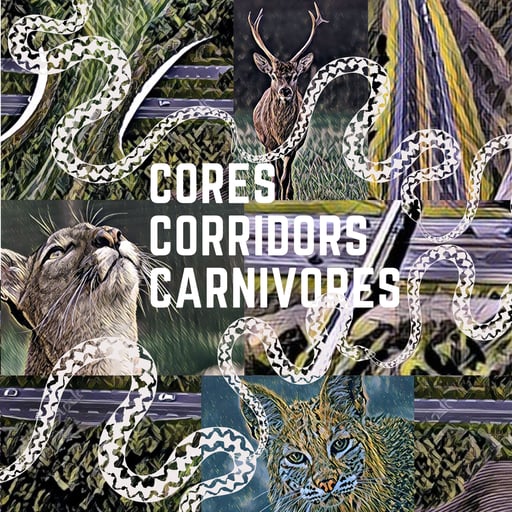 Beth Pratt | National Wildlife Federation | Coexisting with Wildlife 