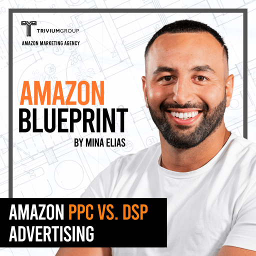 Amazon PPC vs. DSP Advertising: Which Is Better for Scaling Your Brand?