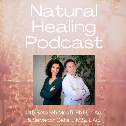 82: Shamanic Healing for the Five Elements