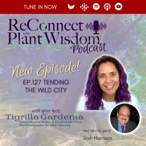  Ep.127 Tending the Wild City with Josh Harrison