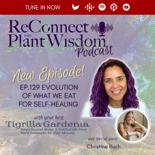 Ep.129 Evolution of What We Eat for Self-Healing with Christine Ruch