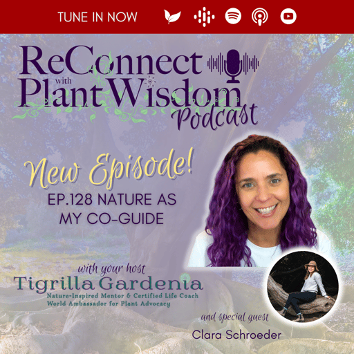 Ep.128 Nature as my Co-Guide with Clara Schroeder