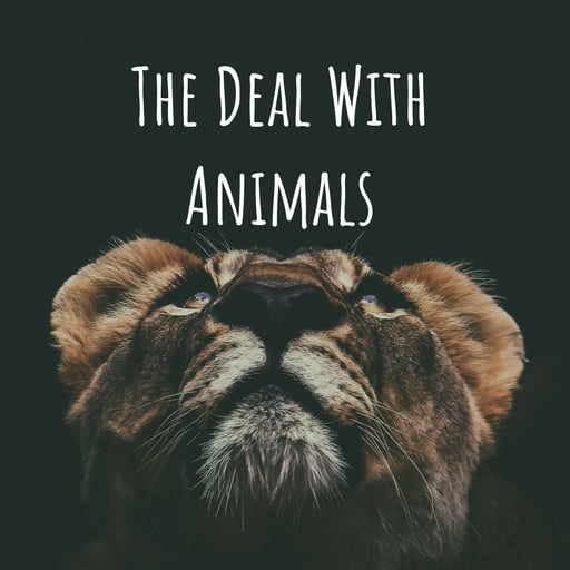 150. Building the Future of Animal Advocacy: PHAIR Animal Advocacy Conference