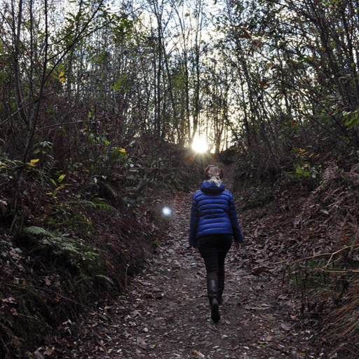 Forest Bathing: a Natural Way to Be Balanced and Healthy