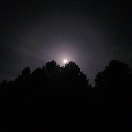 Full Spectrum Holistic Health - The Benefits of Darkness