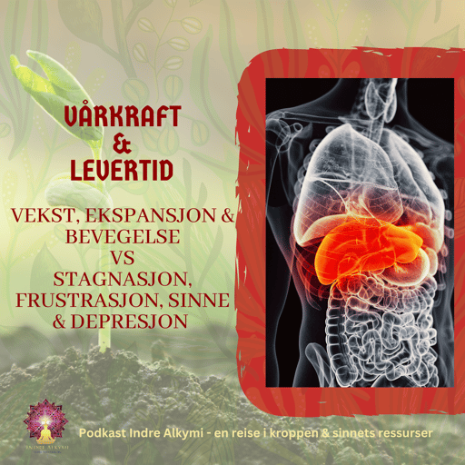 Vårkraft & levertid - vekst, ekspansjon og bevegelse vs stagnasjon, frustrasjon, sinne og depresjon