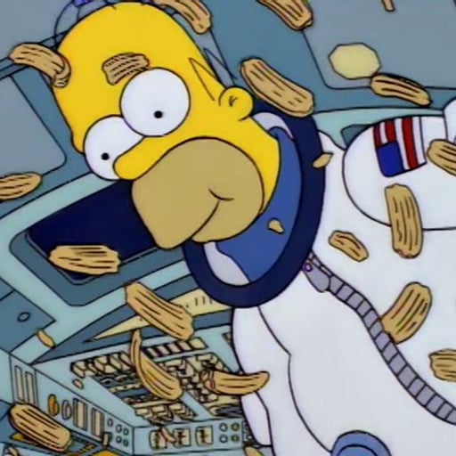 S5E14&15 - Lisa vs. Malibu Stacy & Deep Space Homer