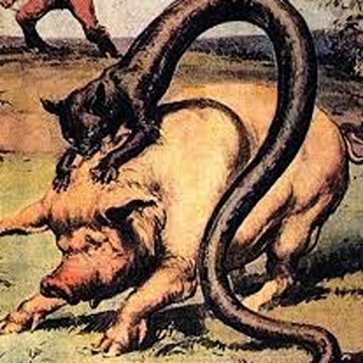 215: Shh! Secret Creatures