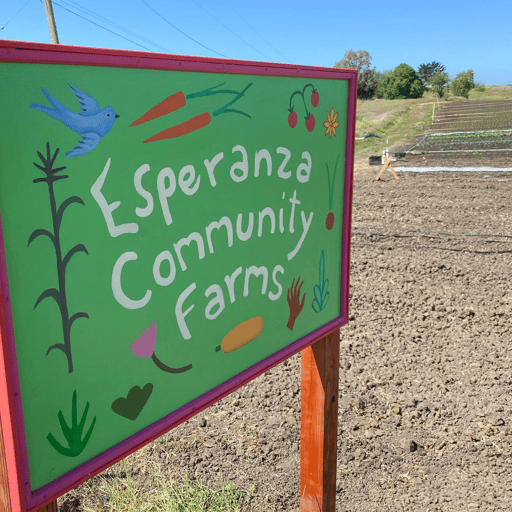 Spotlight on Equity - Esperanza Community Farms - English Version