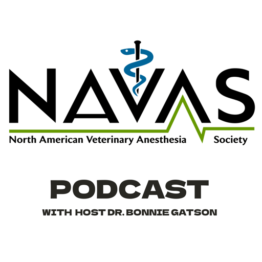 Dr. Sheliah Robertson on Anesthesia for Senior Dogs and Cats
