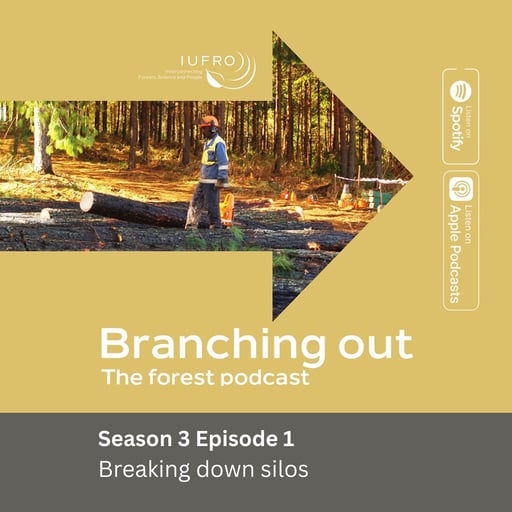 Episode 1: Breaking down silos