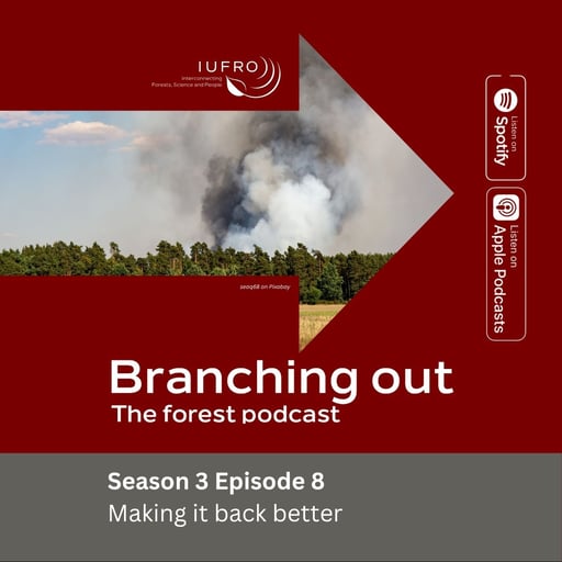 Episode 8: Making it back better