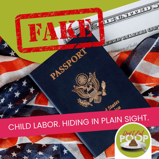 Fake IDs, Real Consequences: Child Labor Exposed in the Meat Industry | Episode 174
