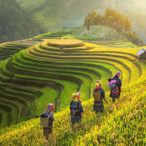 Các Tạp Chí Du Lịch Và Giải Trí Nổi Tiếng Ở Việt Nam Hiện Nay
