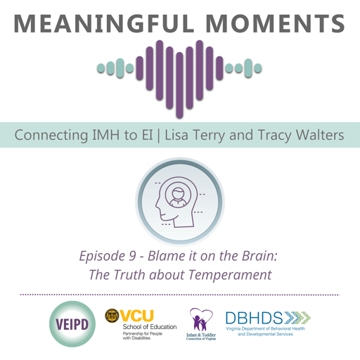 Blame it on the Brain:  The Truth about Temperament