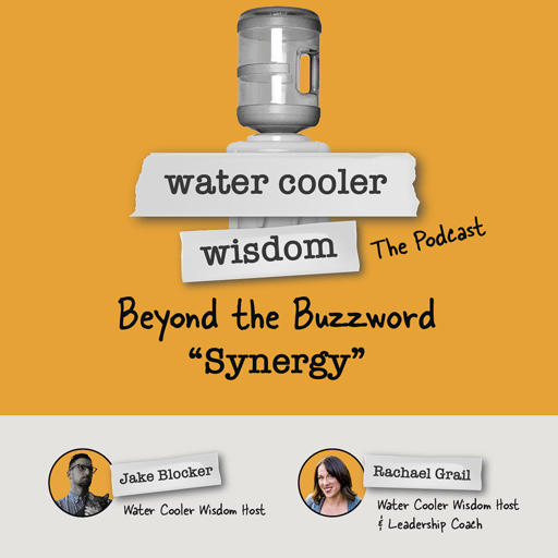 Beyond the Buzzword: Synergy