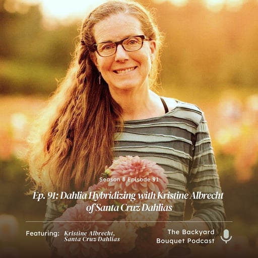 Episode 91: Dahlia Hybridizing with Kristine Albrecht of Santa Cruz Dahlias