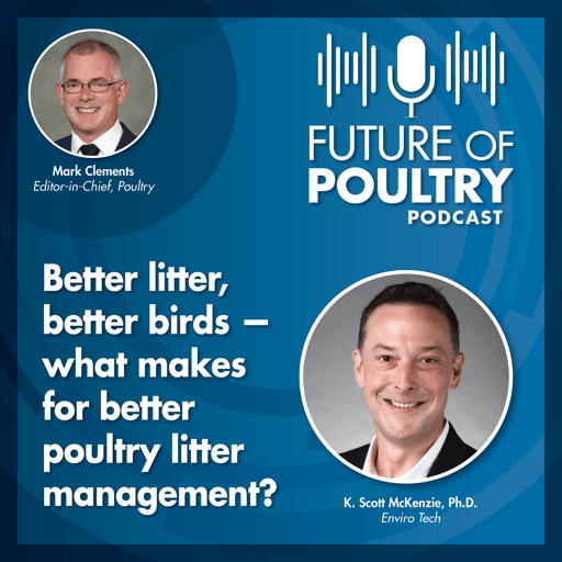 Better litter, better birds — what makes for better poultry litter management?
