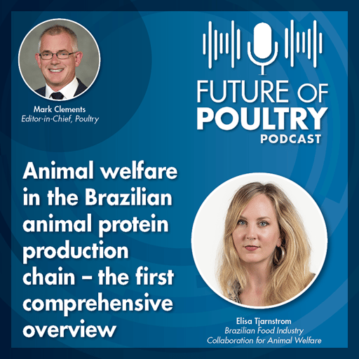 Animal welfare in the Brazilian animal protein production chain – the first comprehensive overview