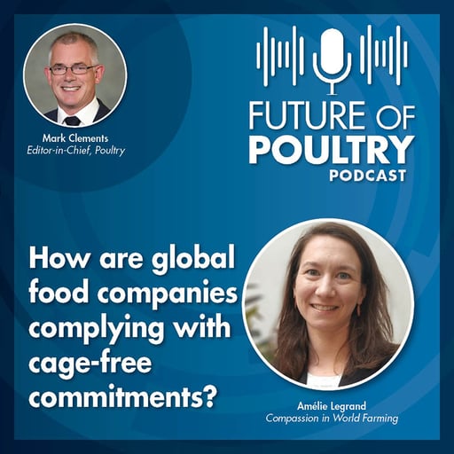How are global food companies complying with cage-free commitments?