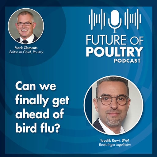 Can we finally get ahead of bird flu?