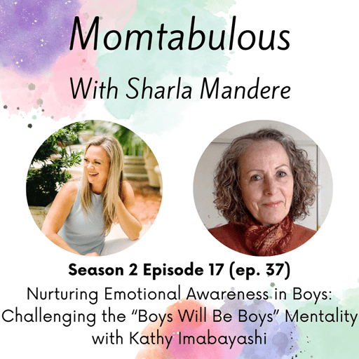 Challenging the "Boys will be Boys" Mentality