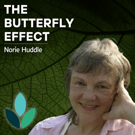 EP38: Norie Huddle - The Butterfly Effect 