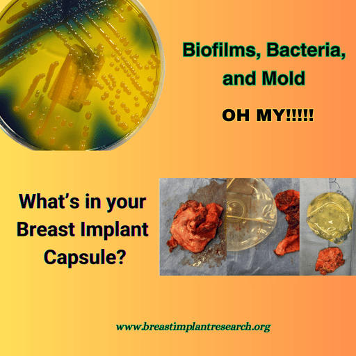 Biofilm, Bacteria, and Mold...OH MY!!!!  What's in YOUR Breast Implant Capsule?