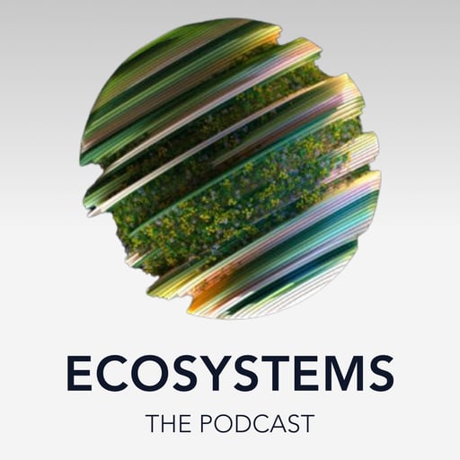 E4: Maurizio Montalti - Unravelling the potential of mycelium