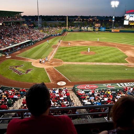 Dan Reiter - VP/GM for The Springfield Cardinals Baseball Team