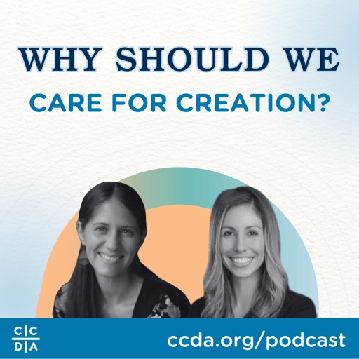 Why Should We Care for Creation?