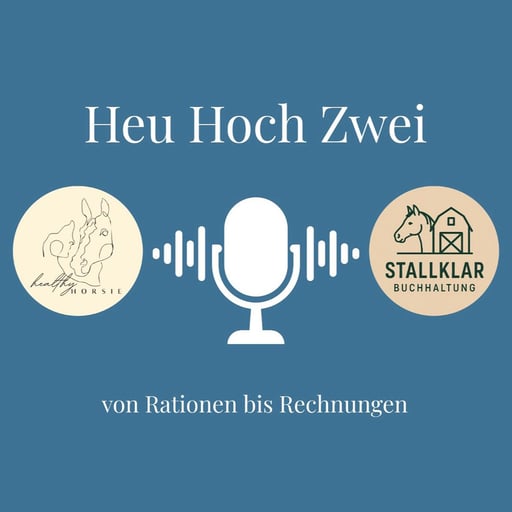 #38 3 Monate mit meinem Ex-Rennpferd - Update