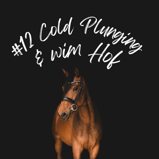 Cold Plunging & Wim Hof