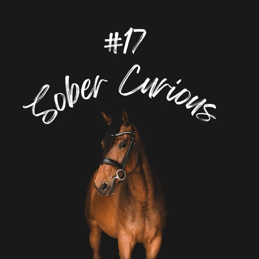 Sober Curious