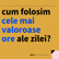 Primele Ore ale Zilei: Cum Transformi Dimineața în Timpul Tău de Aur? image